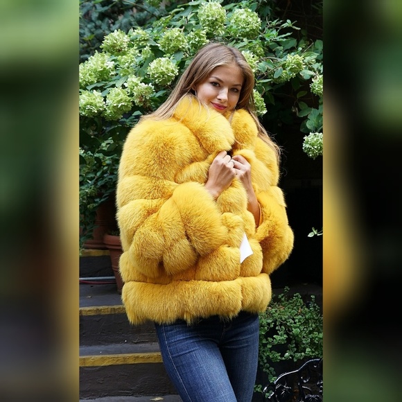 Yellow Fox Jacket - Picture 5 of 5